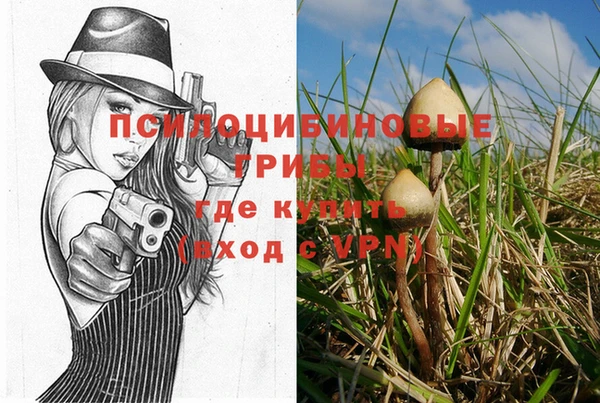 spice Абдулино